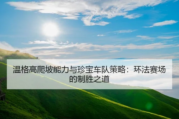 wen-ge-gao-pa-po-neng-li-yu-zhen-bao-che-dui-ce-lve-huan-fa-sai-chang-de-zhi-sheng-zhi-dao-3-150.jpg