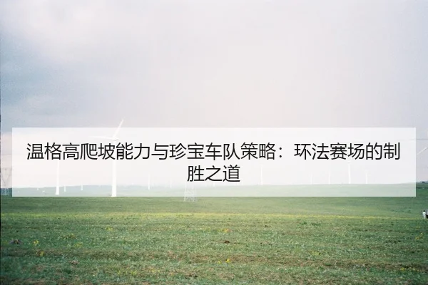 温格高爬坡能力与珍宝车队策略：环法赛场的制胜之道